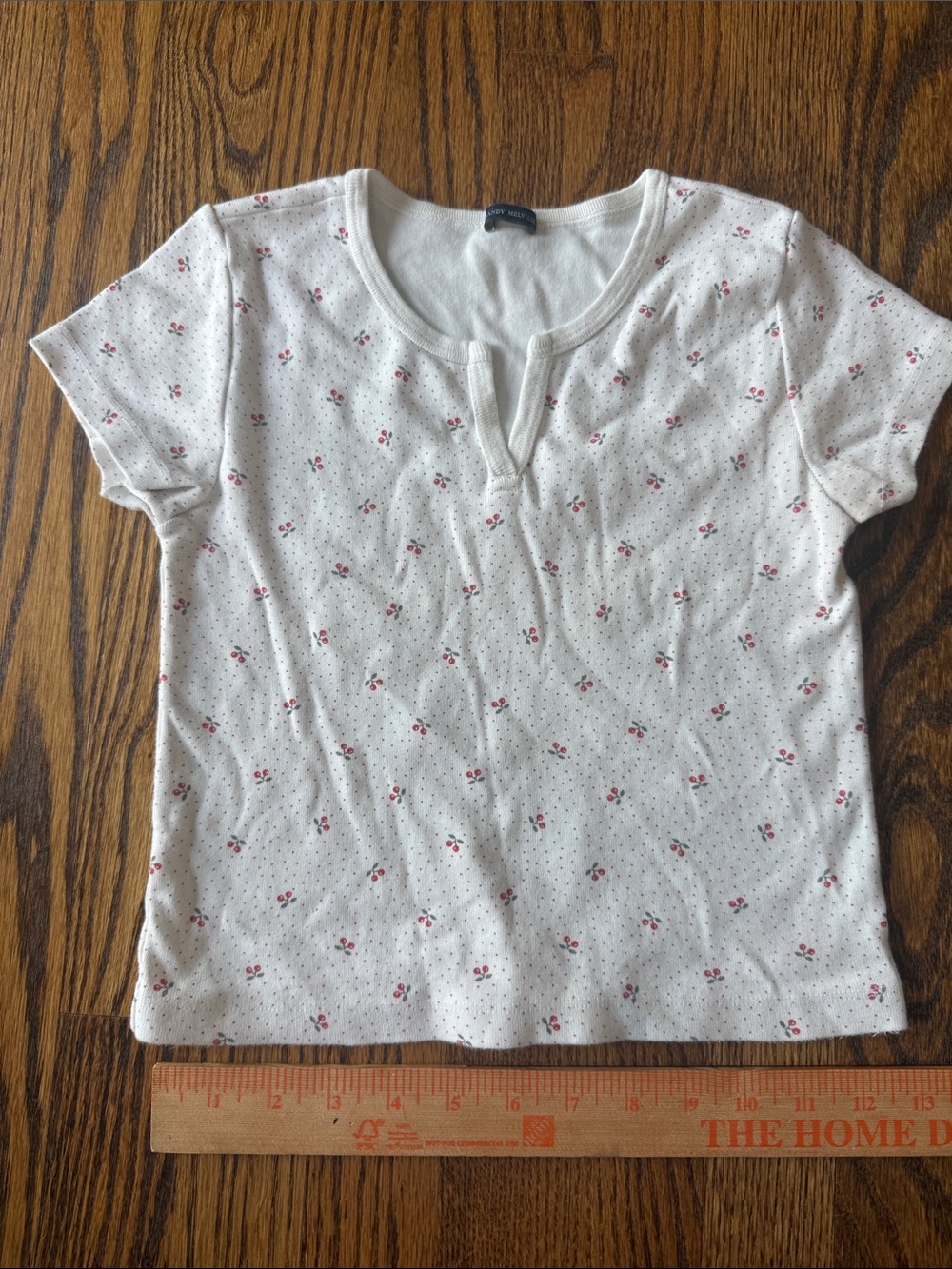 Brandy Melville Cherry Short Sleeve Tee